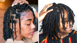 Natural Twisted Style (protective hairstyles for natural hair growth)