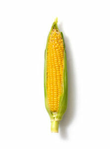 corn