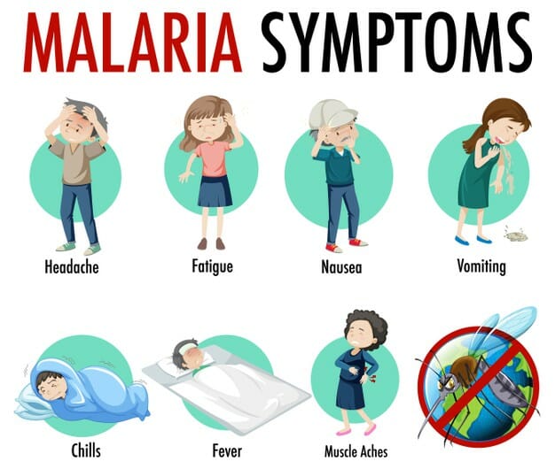 Symptoms Of Malaria