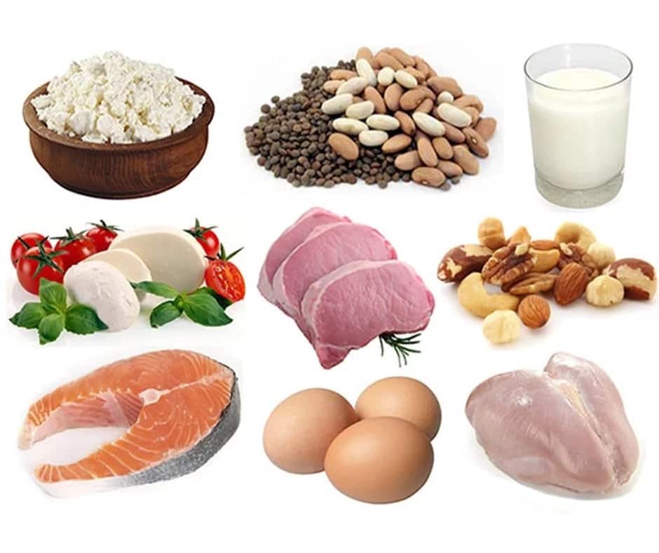 Food That Is Rich In Protein