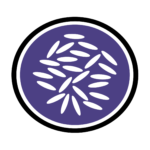 logo-transparent